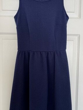 Girls Sleeveless Navy Textured Fit & Flare Dress